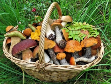 ��� ����������� ��������� ������� ��� � ��������: ��������� ������