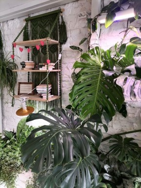 �������� ����� � ������ ������: ��� ���� ����� ����� ������