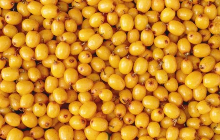 ��� ������������ ��������: 5 ������� � ������� �������� ��� �����