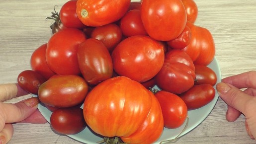 ������� ��������� ��� ����: ��� ������� ������� � ����������