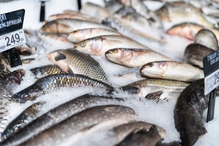 ������� ���� �� ������ ������: �������� � ������� ����������