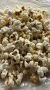 �������: �������� ������� ��� ������� ��������?