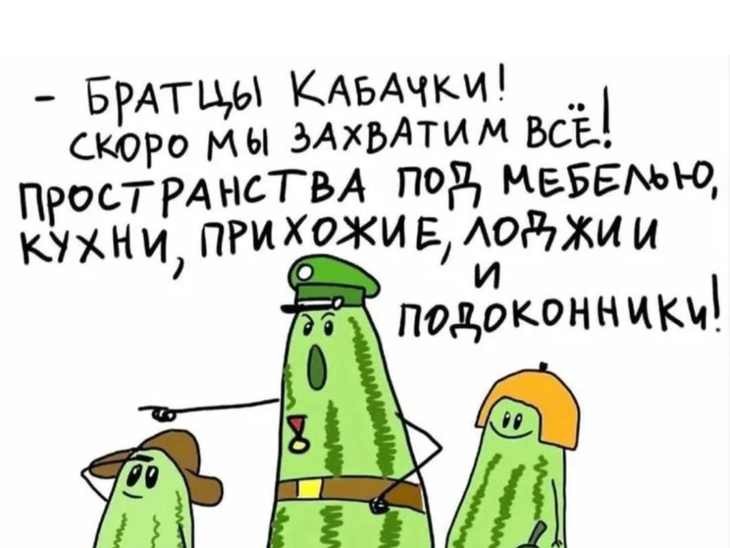 Кабачковый пирог: простой и вкусный рецепт для уютного ужина
